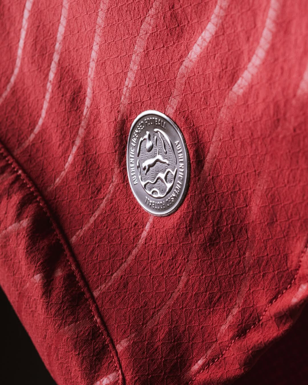 Portugal 2026 World Cup Home Jersey [Player Version]